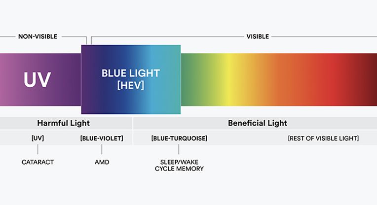 Perscription Blue-Violet Light Filtering Glasses | Clearly AU